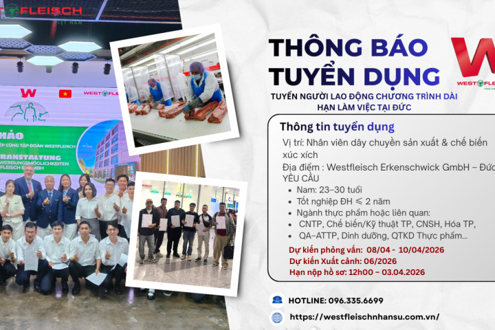 TUYỂN DỤNG LAO ĐỘNG LÀM VIỆCDÀI HẠN TẠI TẬP ĐOÀN WESTFLEISCH, CHLB ĐỨC THÁNG 04.2026